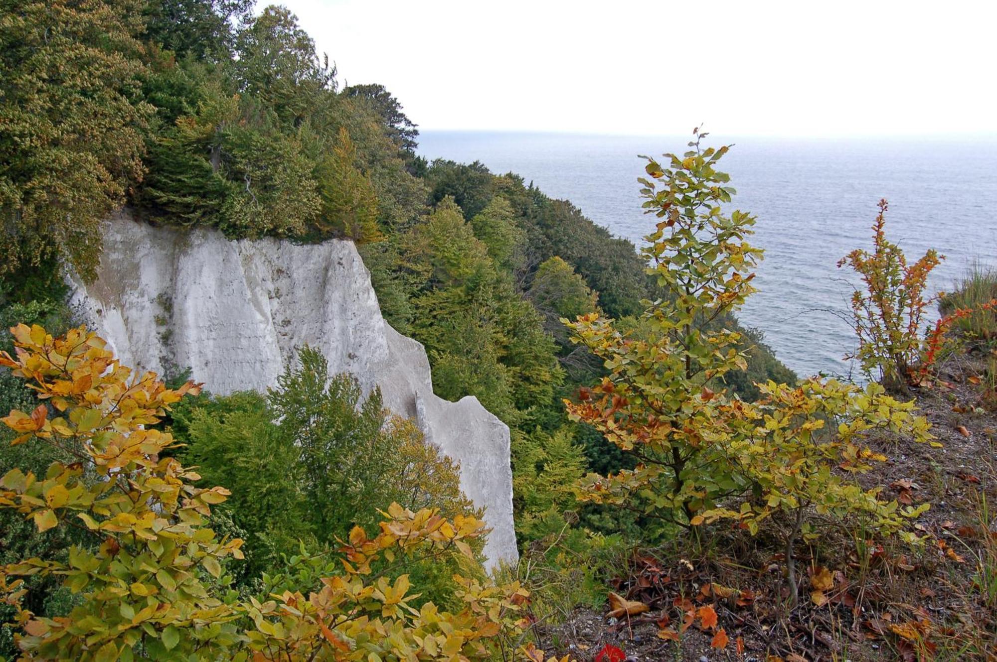 Blinkfueer Am Kap Arkona Putgarten