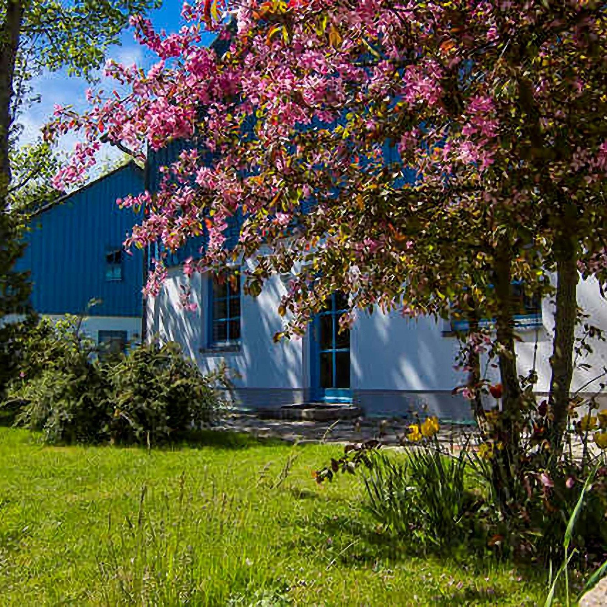 Blinkfueer Am Kap Arkona Apartment *